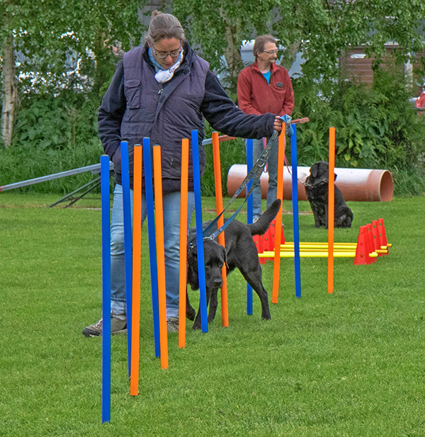 Unterordnung - Slalom